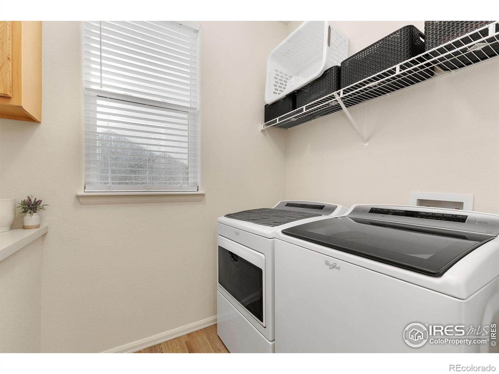 MLS Image #15 for 725  mt evans avenue,severance, Colorado