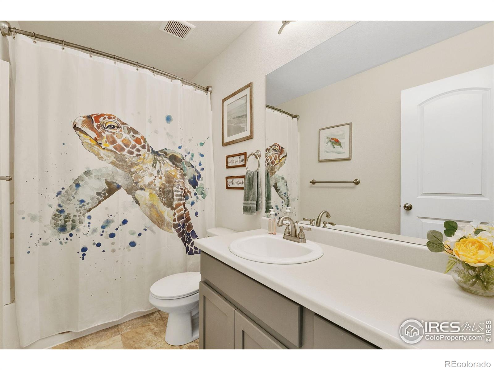 MLS Image #18 for 725  mt evans avenue,severance, Colorado