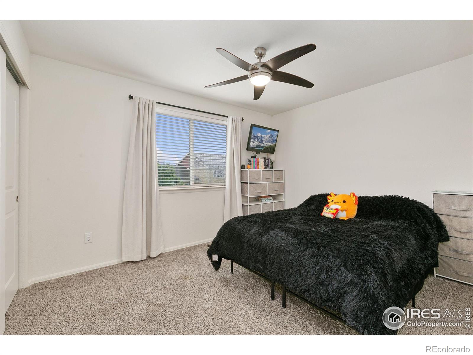MLS Image #19 for 725  mt evans avenue,severance, Colorado