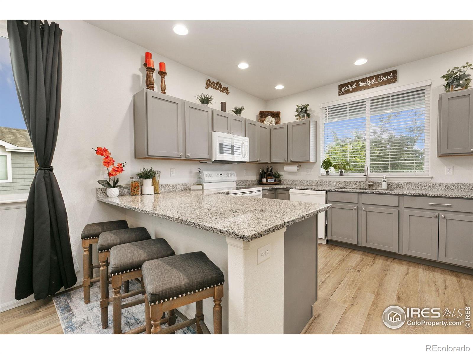 MLS Image #5 for 725  mt evans avenue,severance, Colorado
