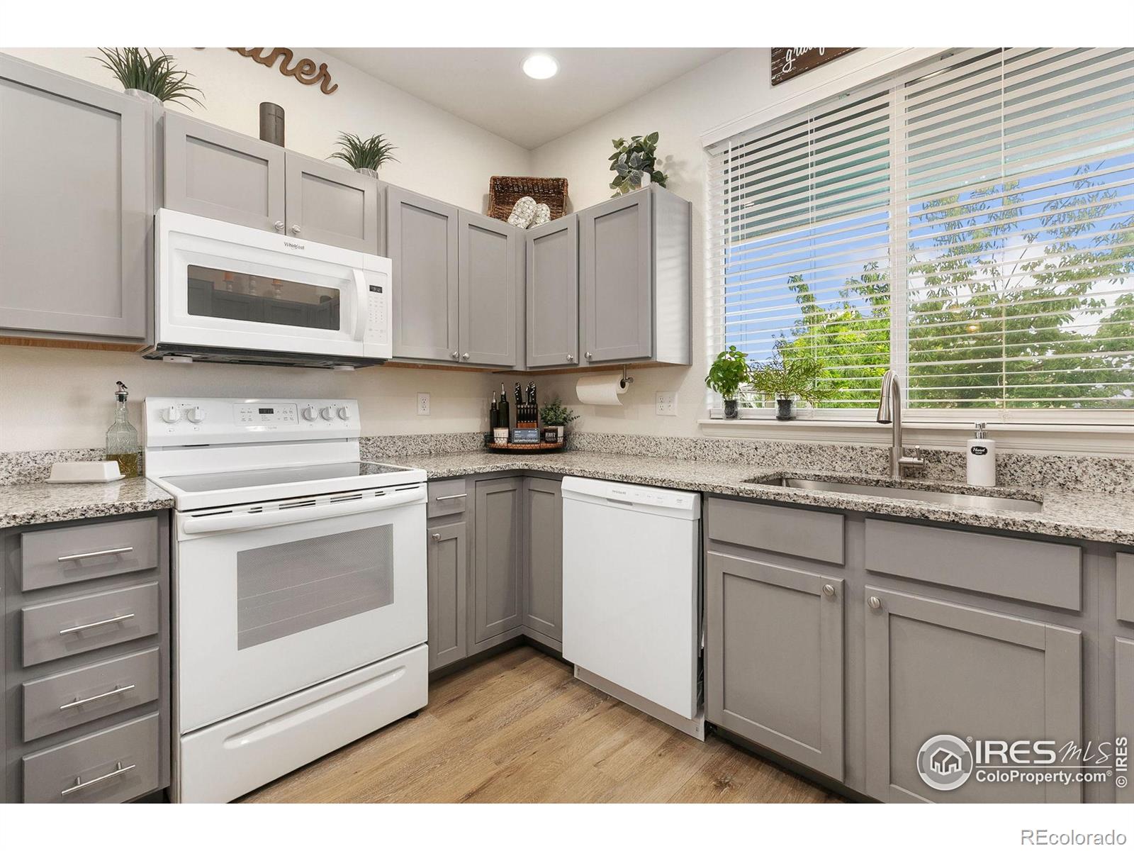 MLS Image #7 for 725  mt evans avenue,severance, Colorado
