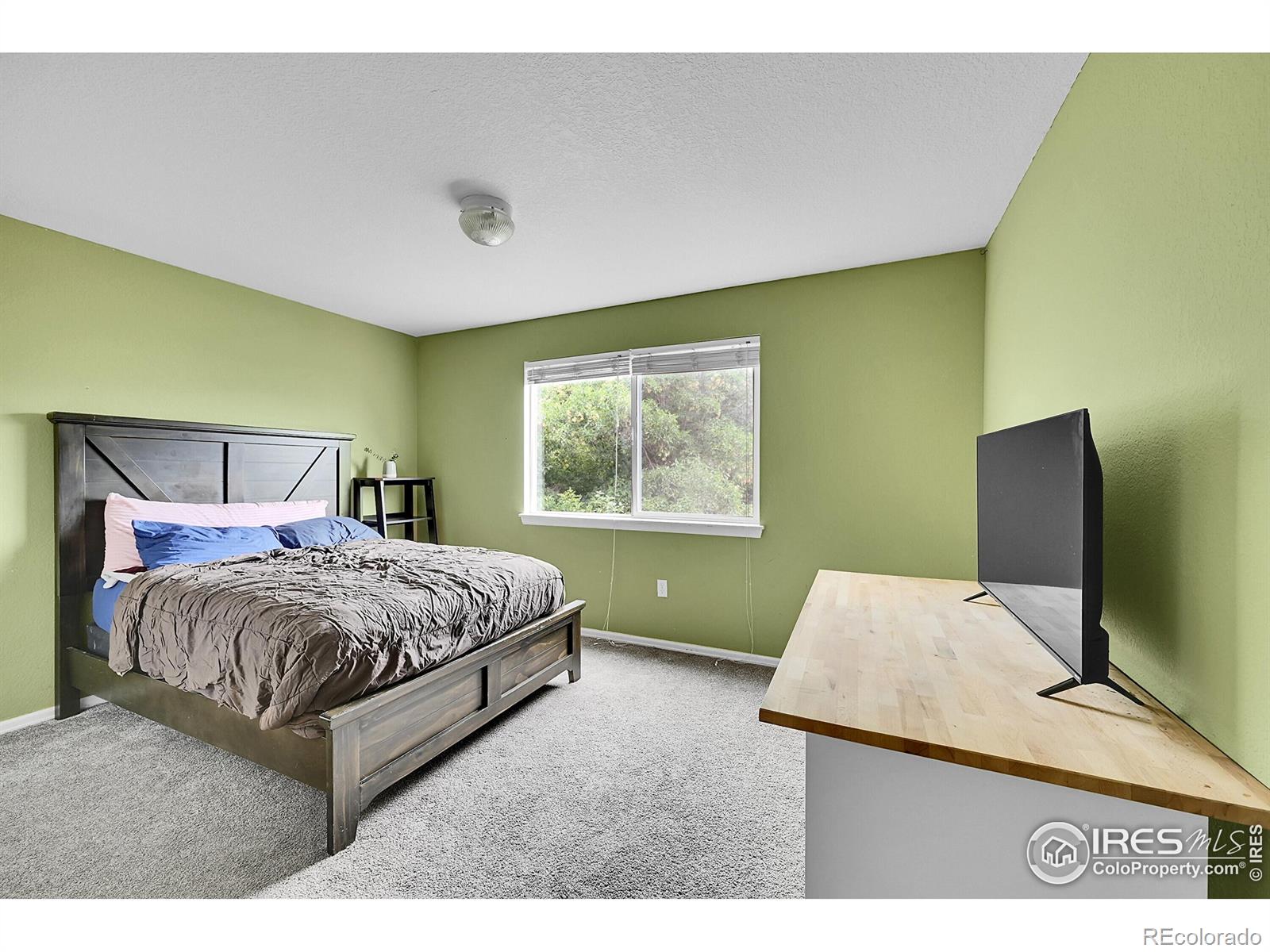 MLS Image #23 for 514  peyton drive,fort collins, Colorado