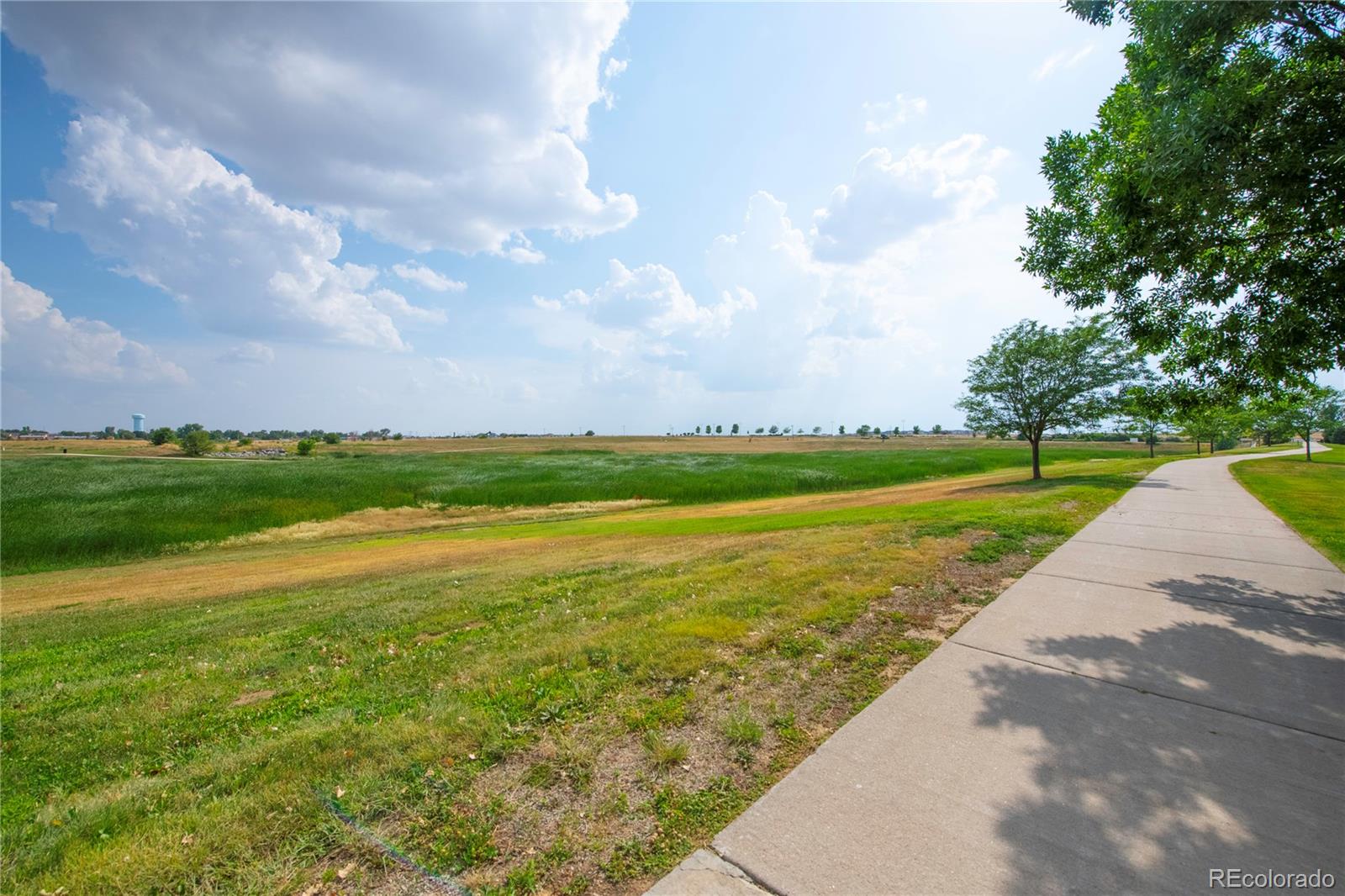 MLS Image #40 for 715  elm street,frederick, Colorado