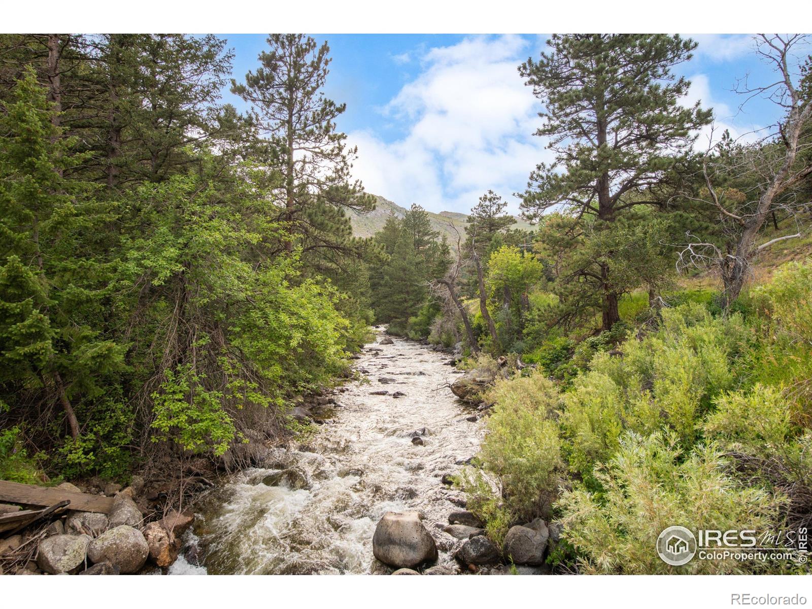 MLS Image #2 for 35112  boulder canyon drive,boulder, Colorado