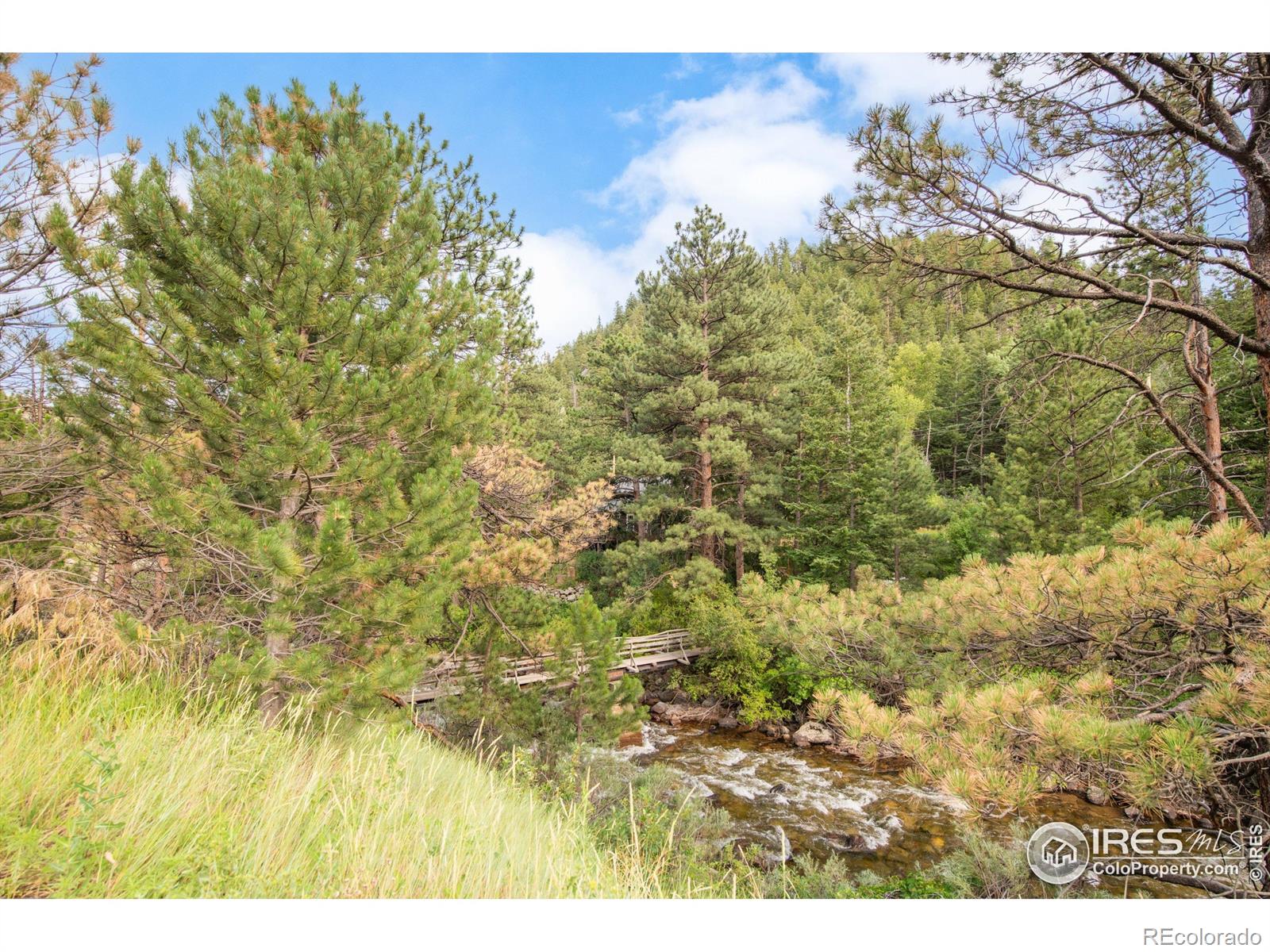 MLS Image #23 for 35112  boulder canyon drive,boulder, Colorado