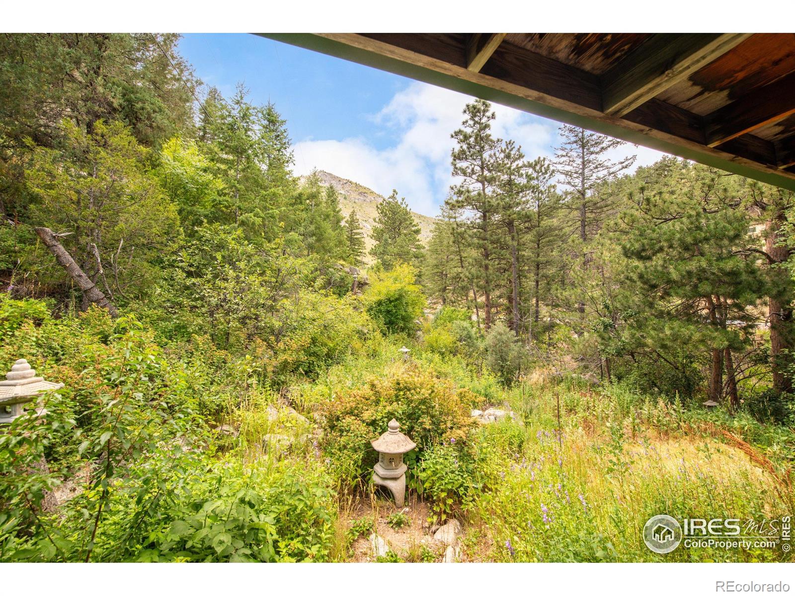 MLS Image #24 for 35112  boulder canyon drive,boulder, Colorado