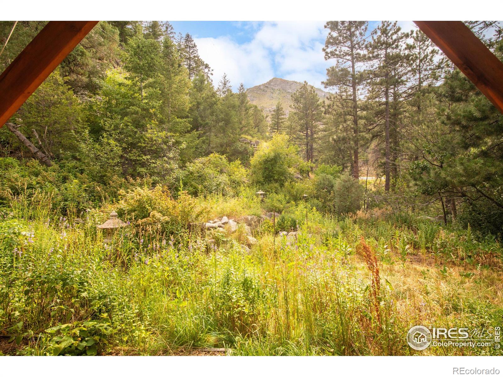 MLS Image #27 for 35112  boulder canyon drive,boulder, Colorado