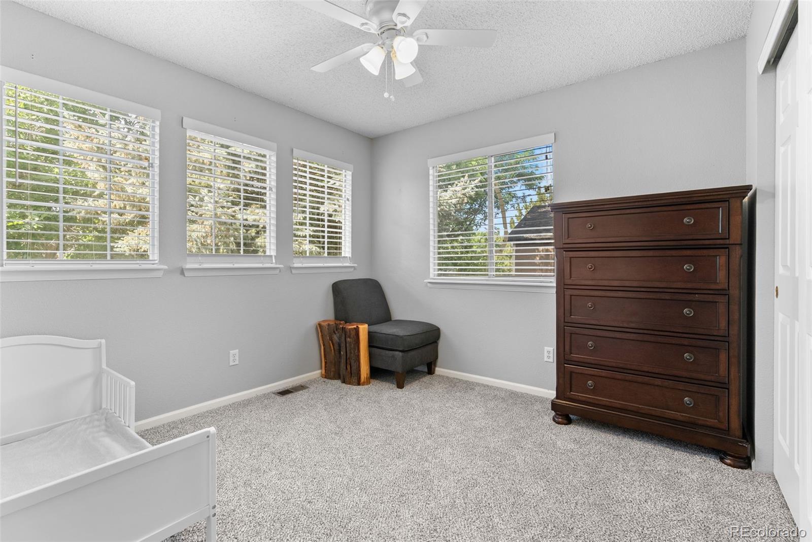 MLS Image #19 for 2337  gold dust lane,highlands ranch, Colorado