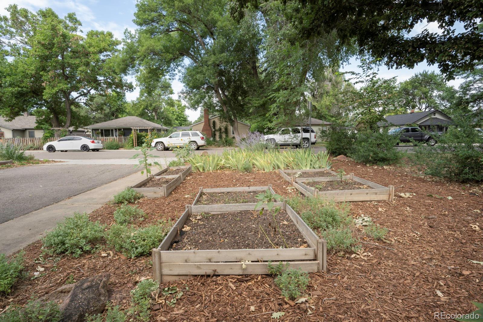 MLS Image #3 for 1034  venice street,longmont, Colorado