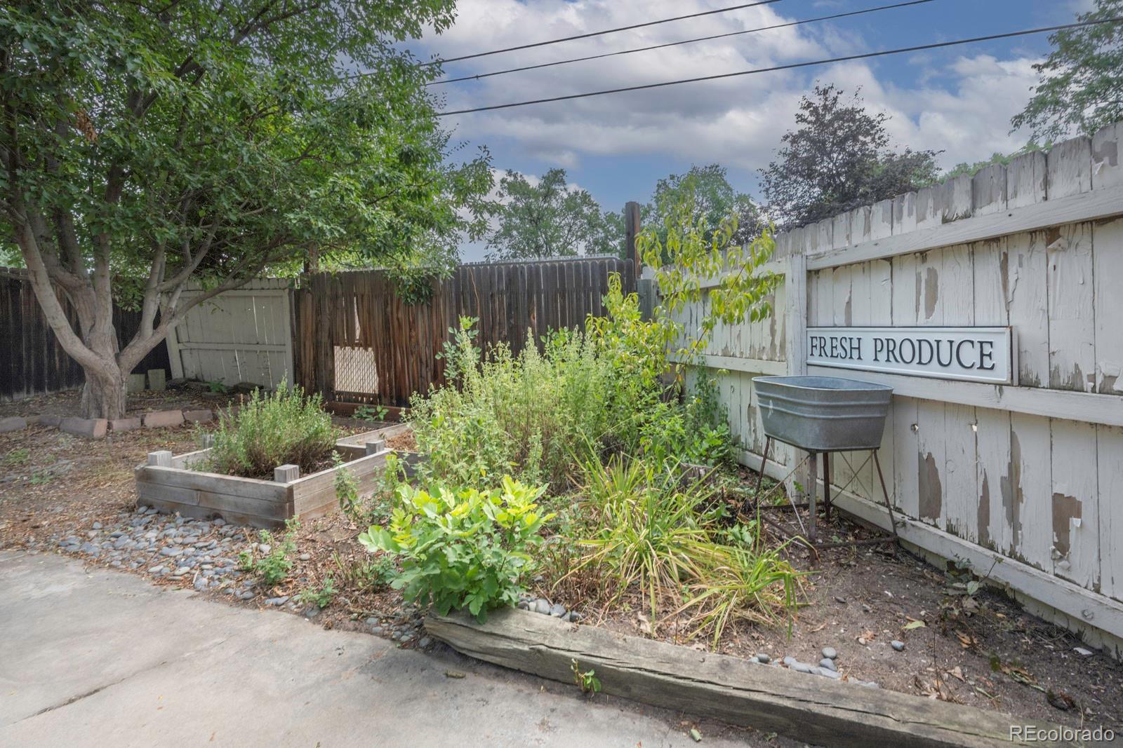 MLS Image #36 for 1034  venice street,longmont, Colorado