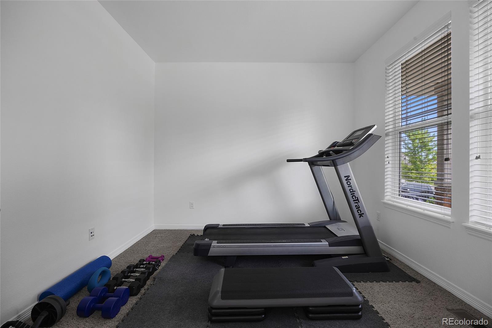 MLS Image #12 for 6247 s muscadine court,aurora, Colorado