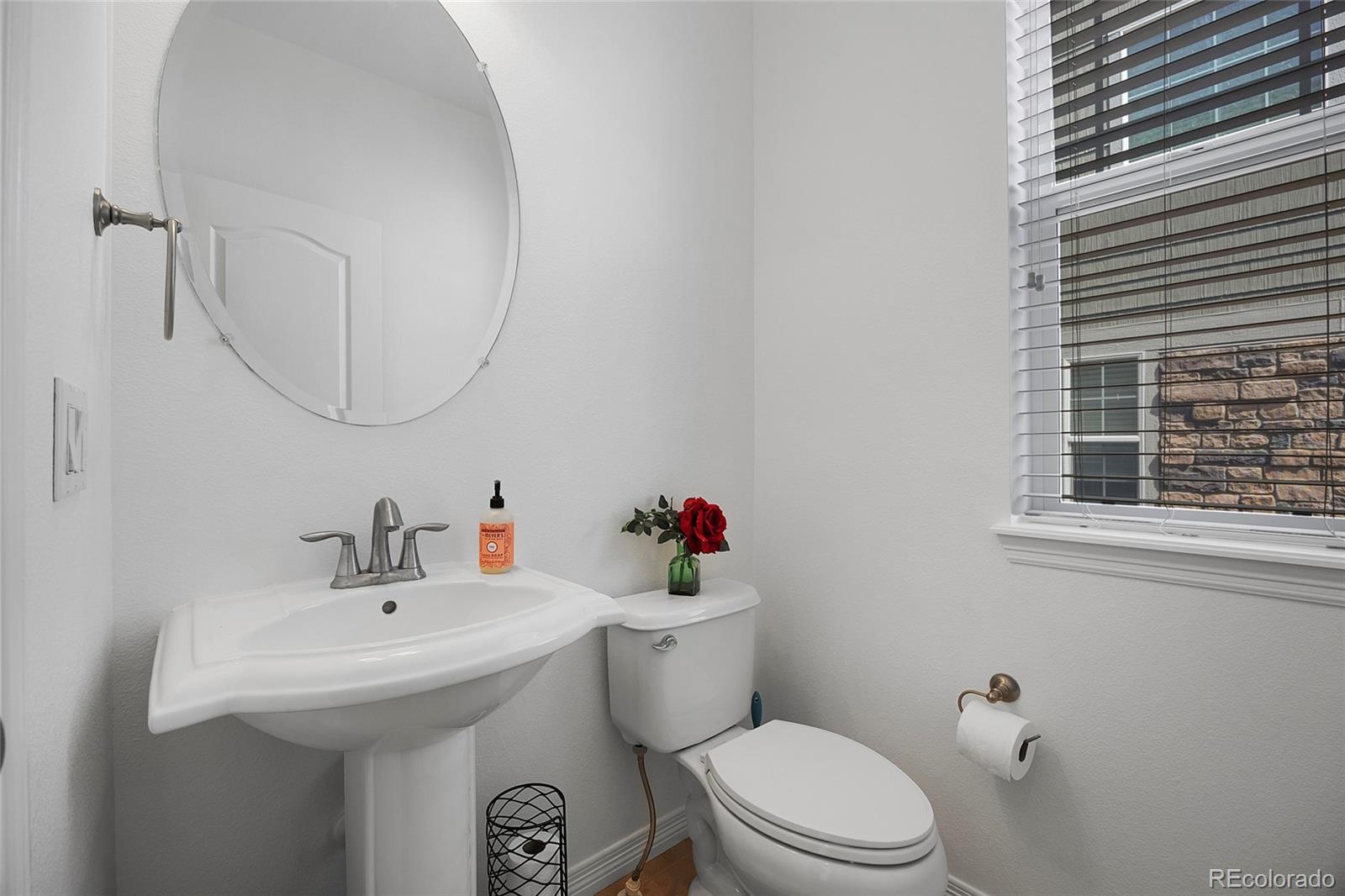 MLS Image #13 for 6247 s muscadine court,aurora, Colorado