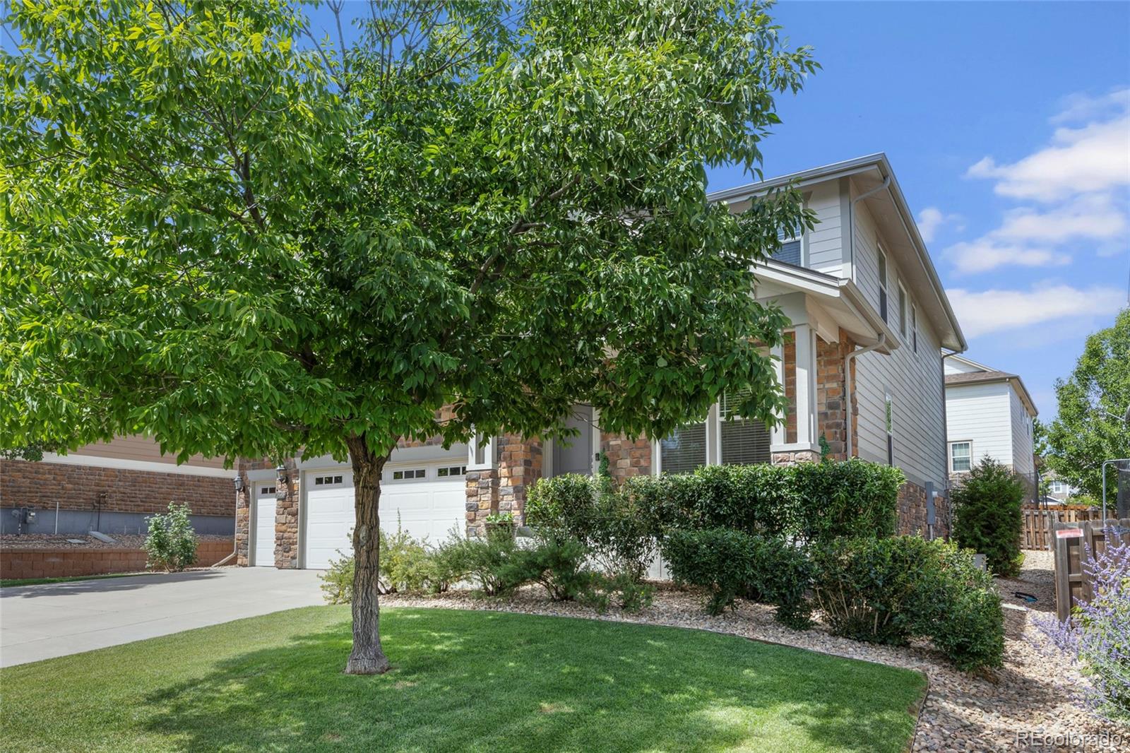 MLS Image #2 for 6247 s muscadine court,aurora, Colorado
