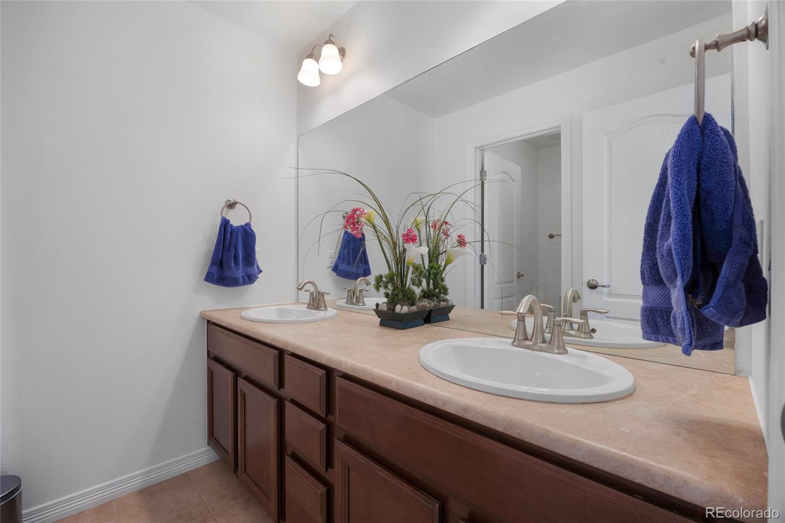 MLS Image #23 for 6247 s muscadine court,aurora, Colorado
