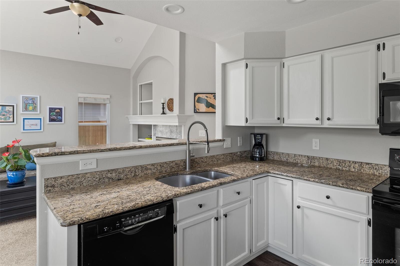 MLS Image #10 for 6190 s summer ridge way,castle rock, Colorado