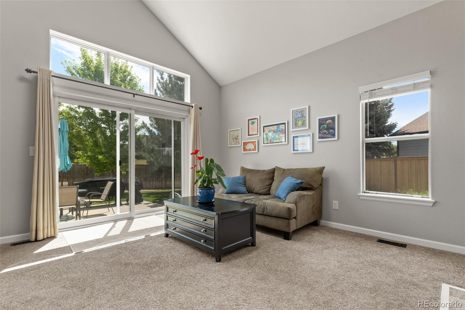 MLS Image #13 for 6190 s summer ridge way,castle rock, Colorado