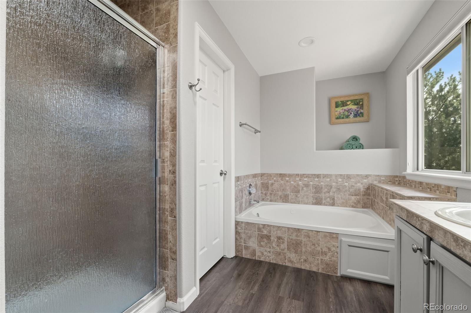 MLS Image #19 for 6190 s summer ridge way,castle rock, Colorado