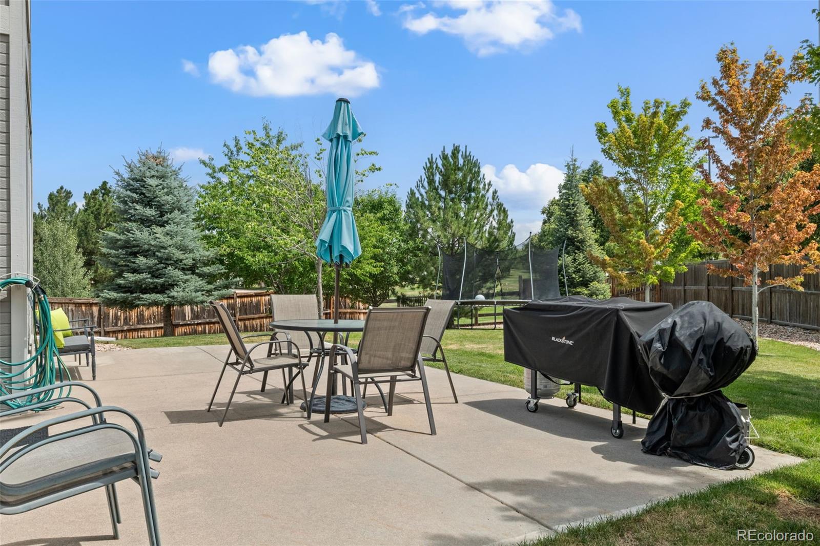 MLS Image #27 for 6190 s summer ridge way,castle rock, Colorado