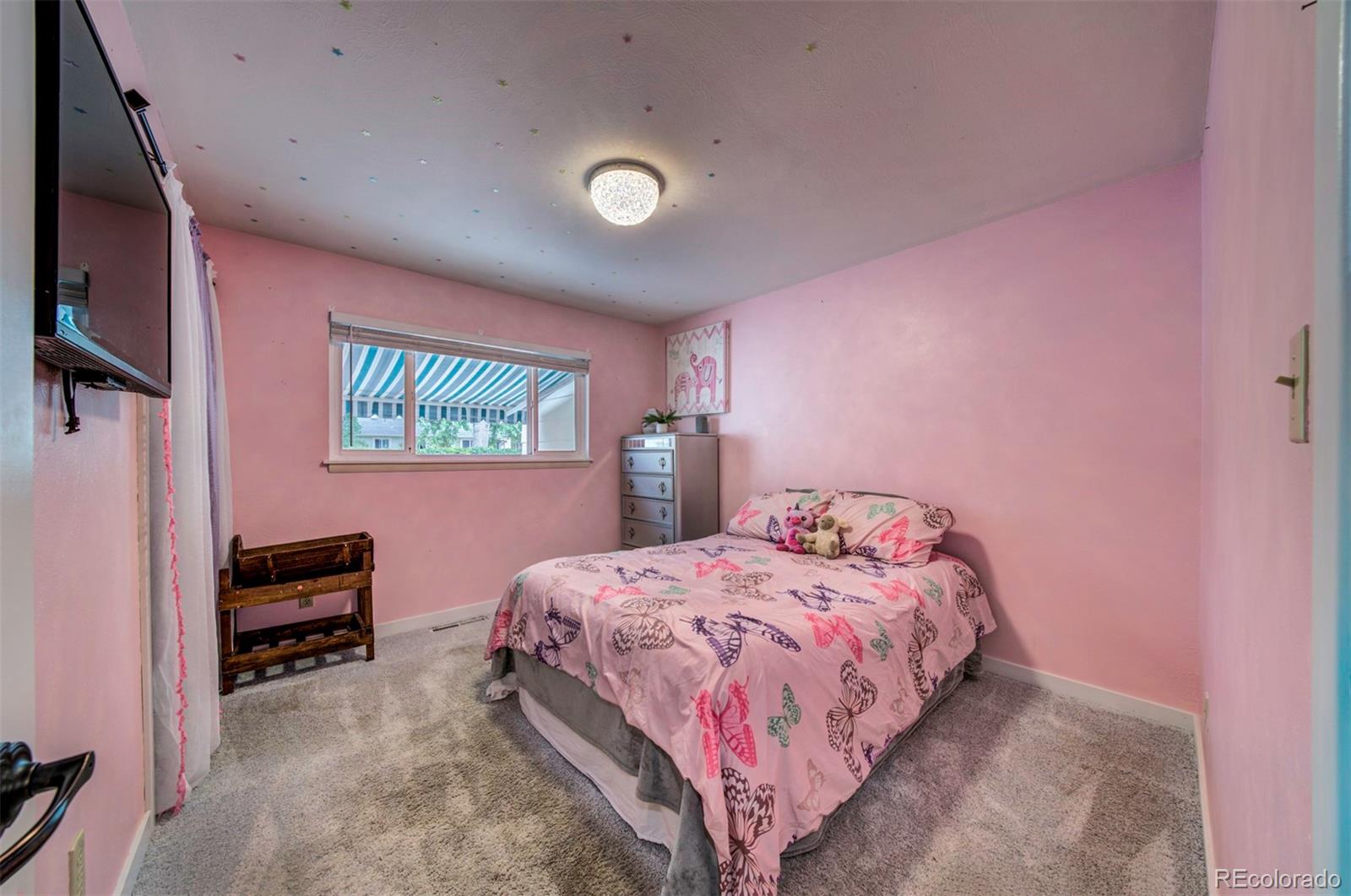 MLS Image #21 for 3710  windflower circle,colorado springs, Colorado