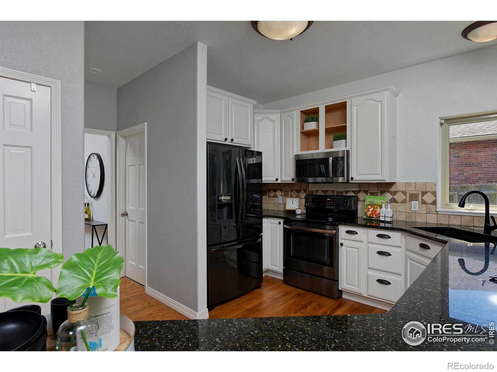 MLS Image #9 for 1735  crestone drive,longmont, Colorado