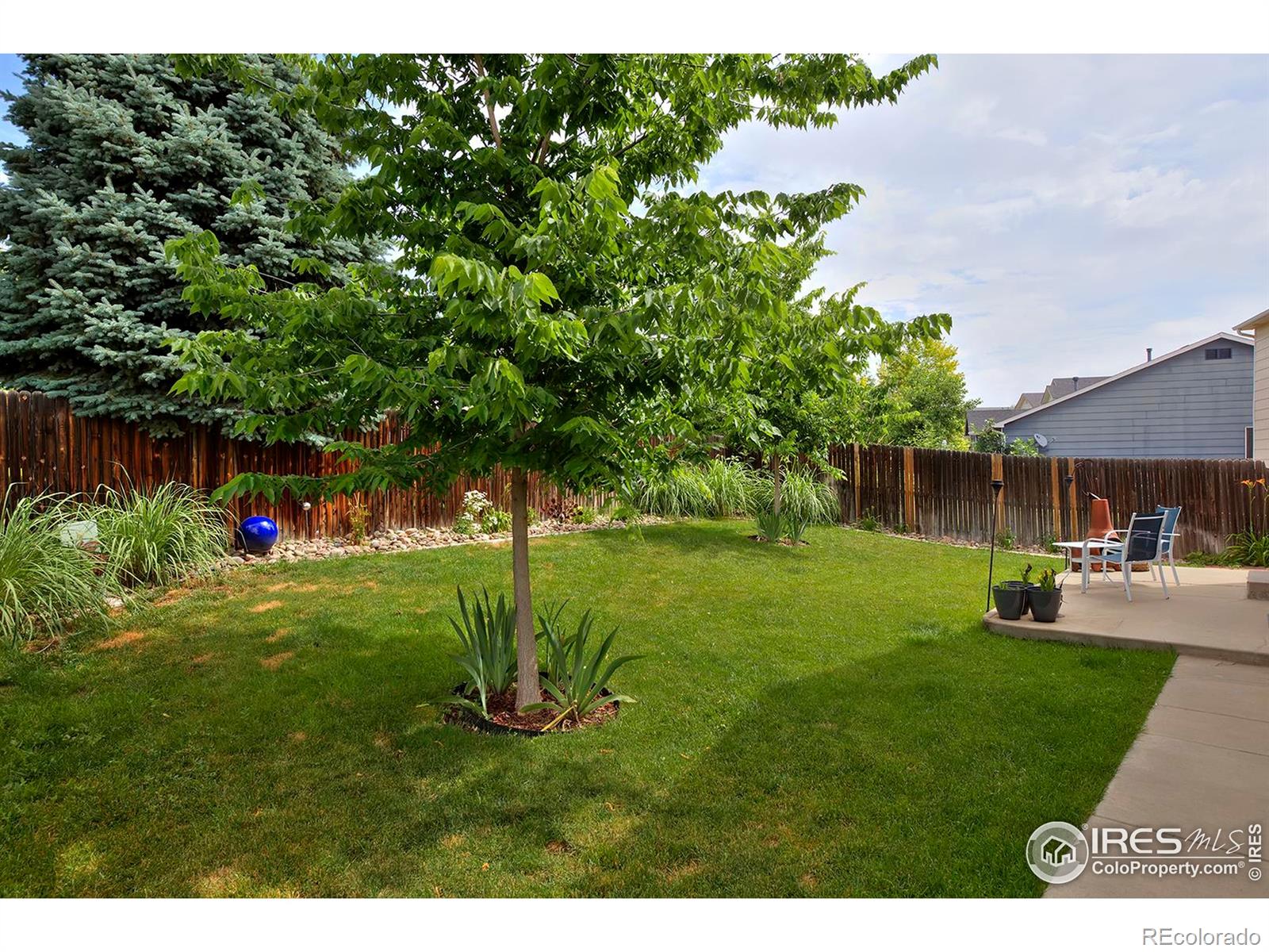 MLS Image #34 for 13441  cherry street,thornton, Colorado