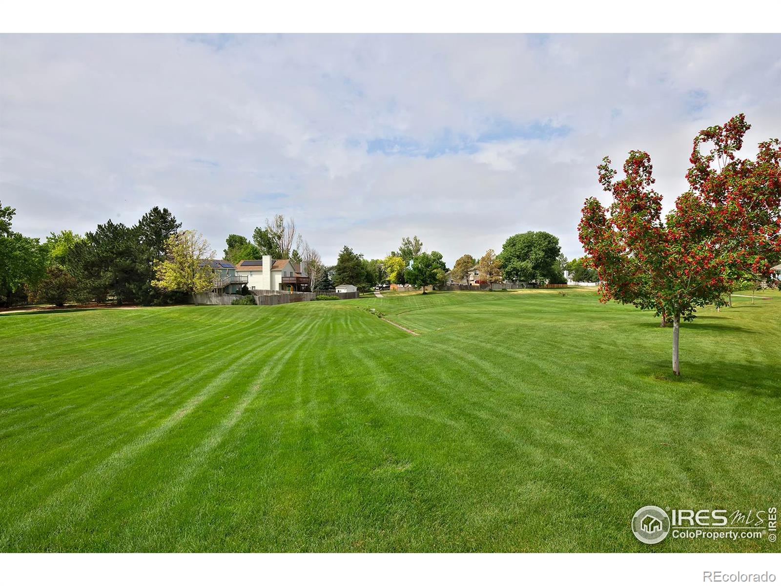 MLS Image #36 for 13441  cherry street,thornton, Colorado