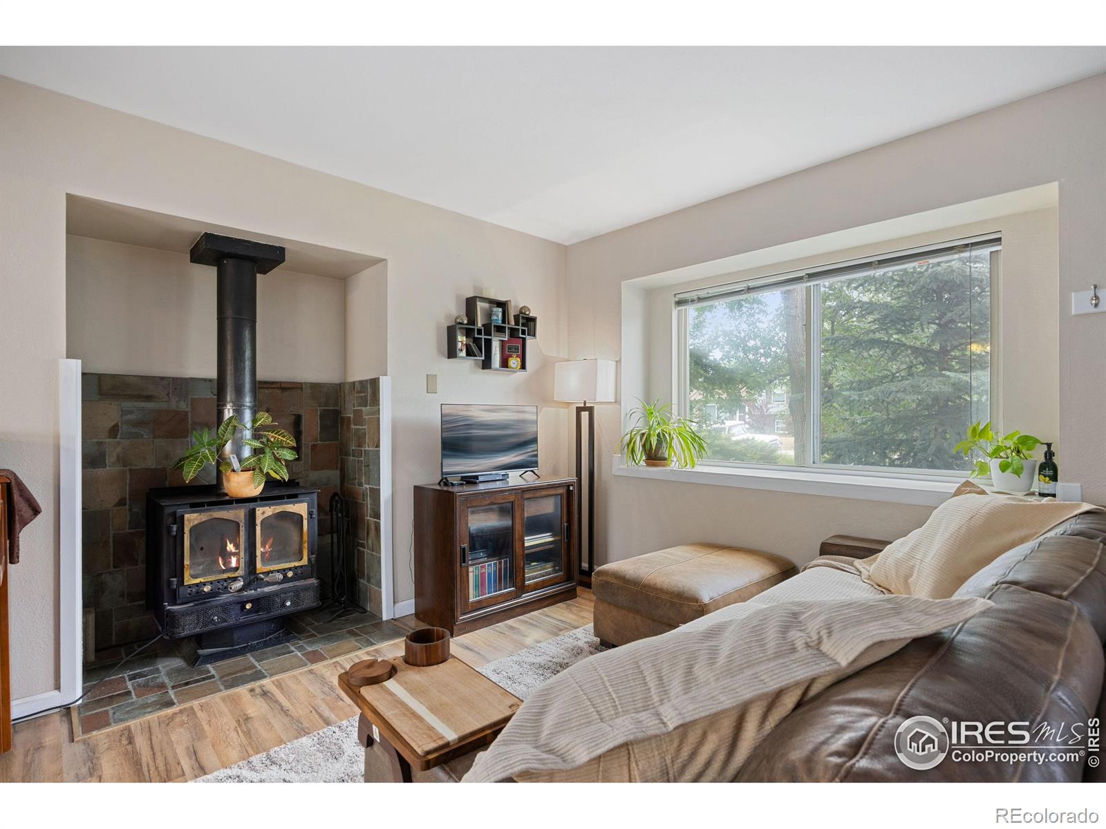 MLS Image #3 for 5912  boyne court,fort collins, Colorado