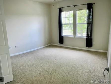 MLS Image #11 for 2308  owens avenue,fort collins, Colorado