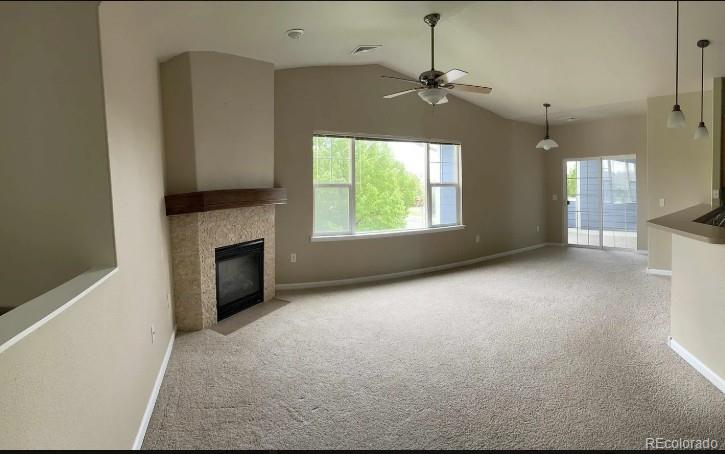 MLS Image #6 for 2308  owens avenue,fort collins, Colorado