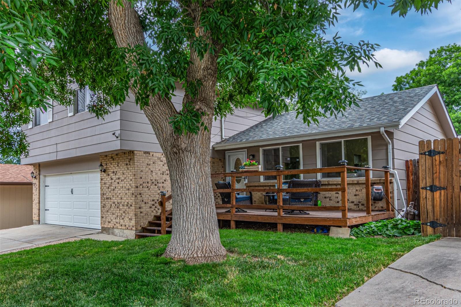 MLS Image #2 for 6615  zang street,arvada, Colorado