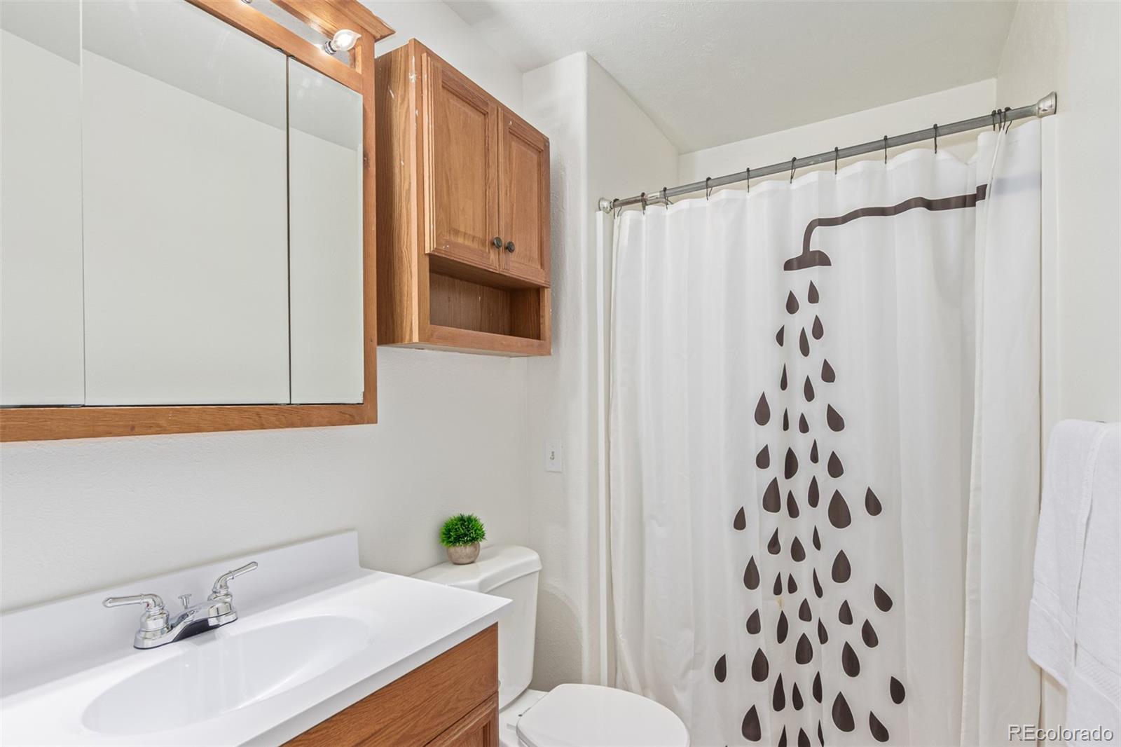 MLS Image #23 for 6615  zang street,arvada, Colorado