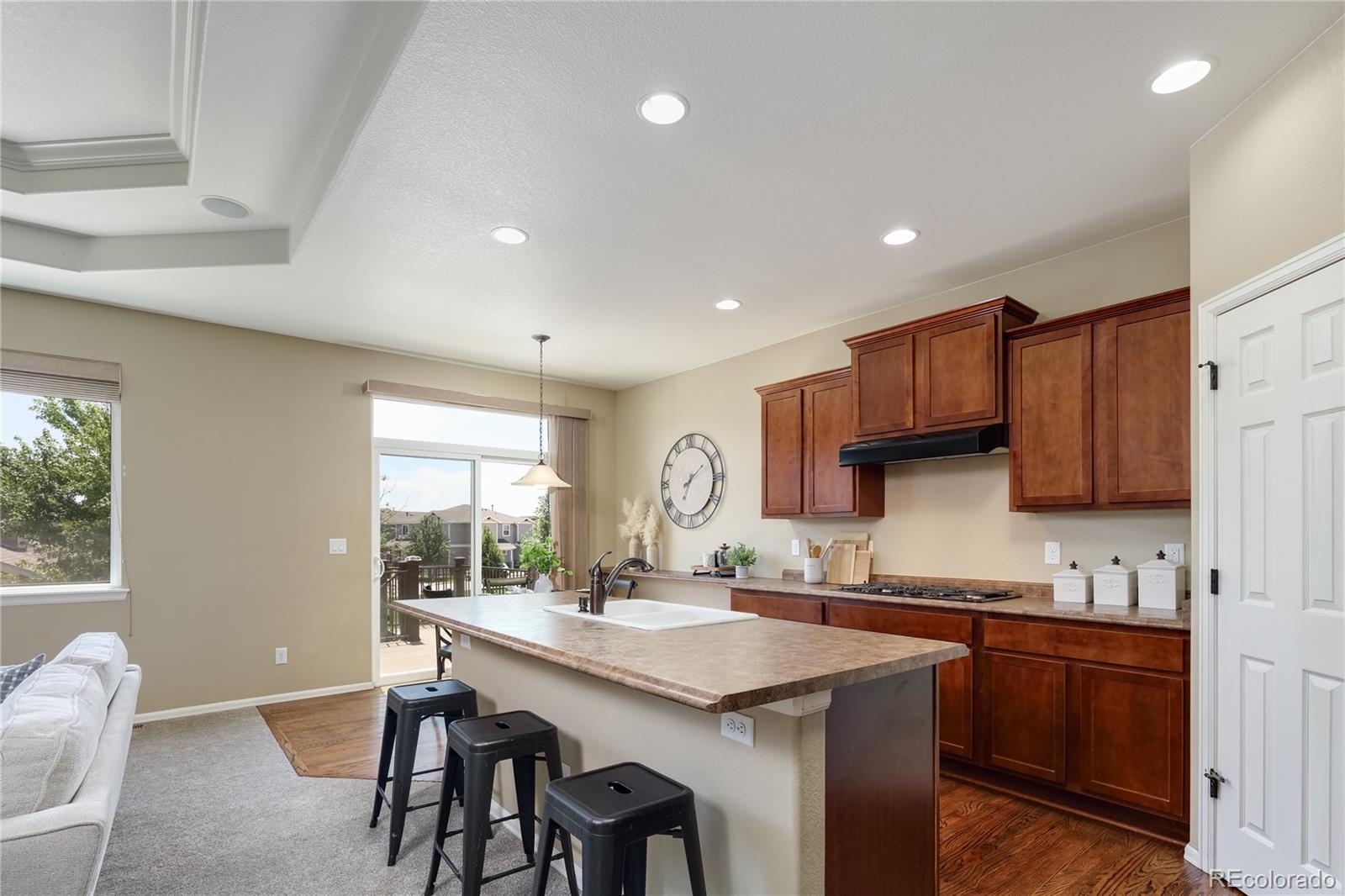 MLS Image #18 for 2913  saratoga trail,erie, Colorado