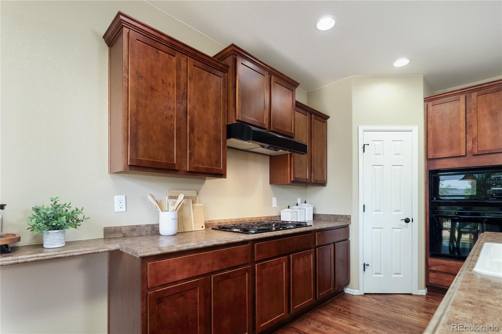 MLS Image #20 for 2913  saratoga trail,erie, Colorado