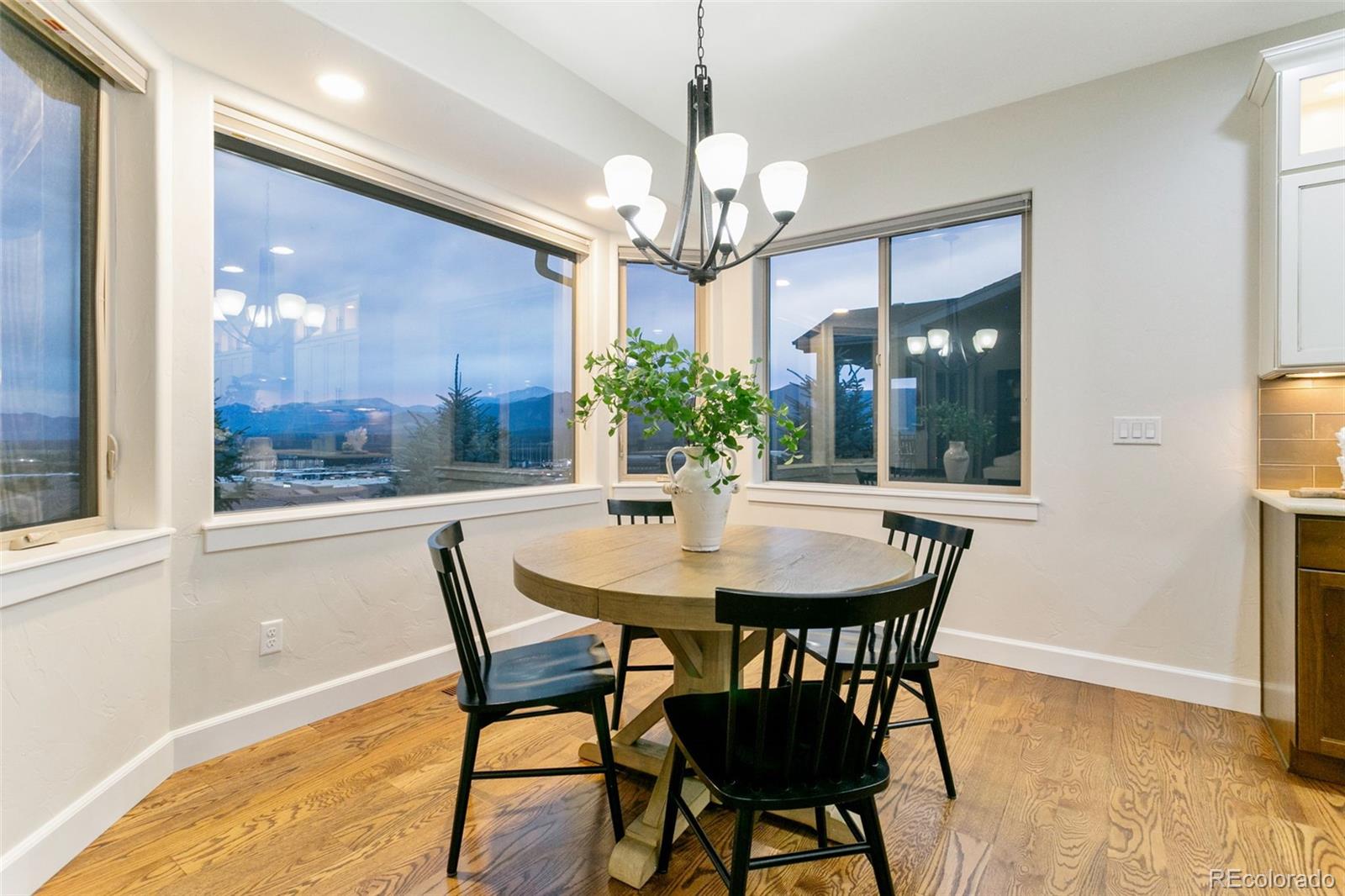 MLS Image #11 for 234  coyote willow drive,colorado springs, Colorado