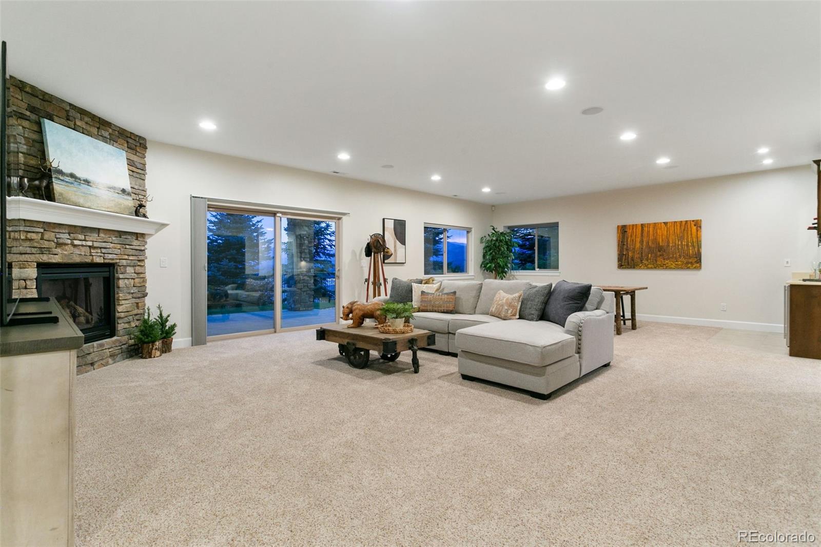 MLS Image #28 for 234  coyote willow drive,colorado springs, Colorado