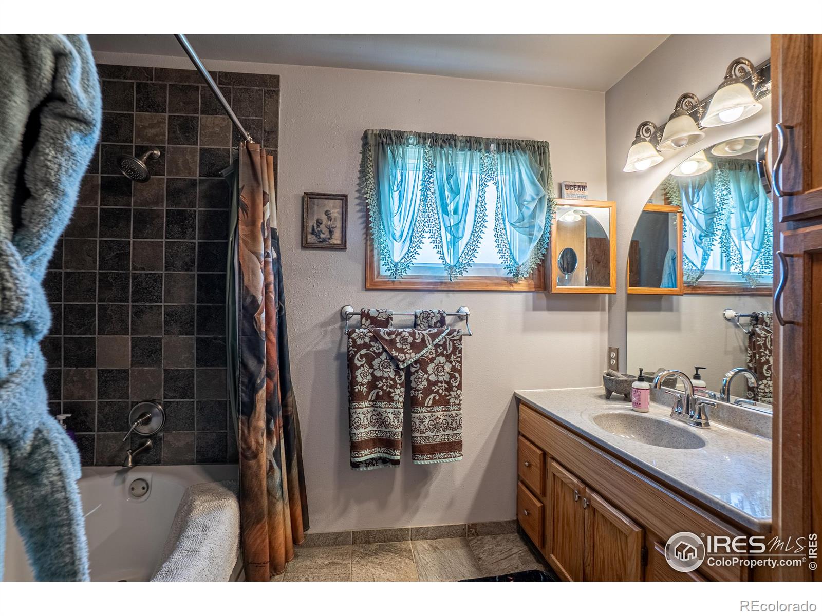 MLS Image #26 for 740  walno avenue,livermore, Colorado