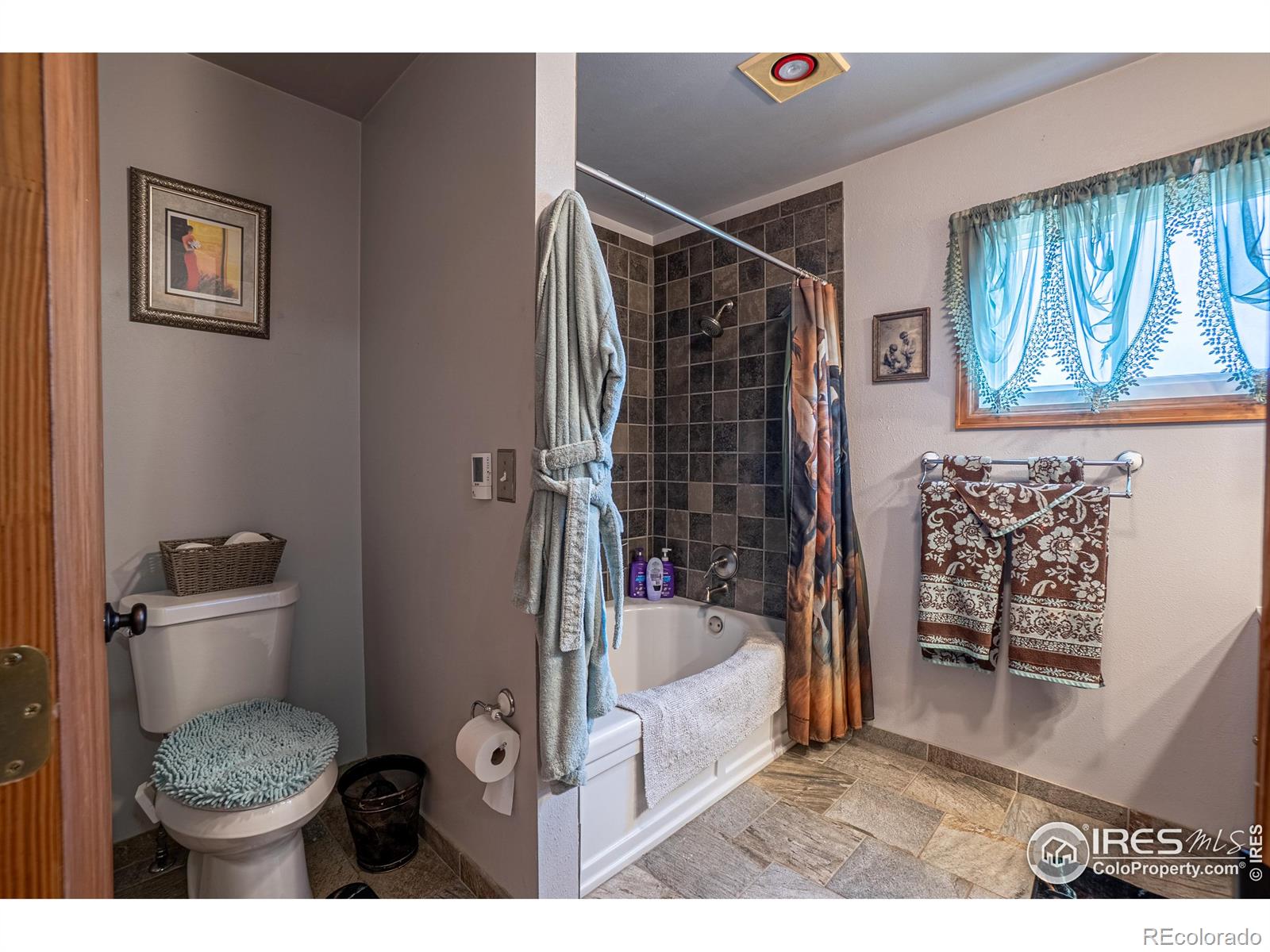 MLS Image #27 for 740  walno avenue,livermore, Colorado