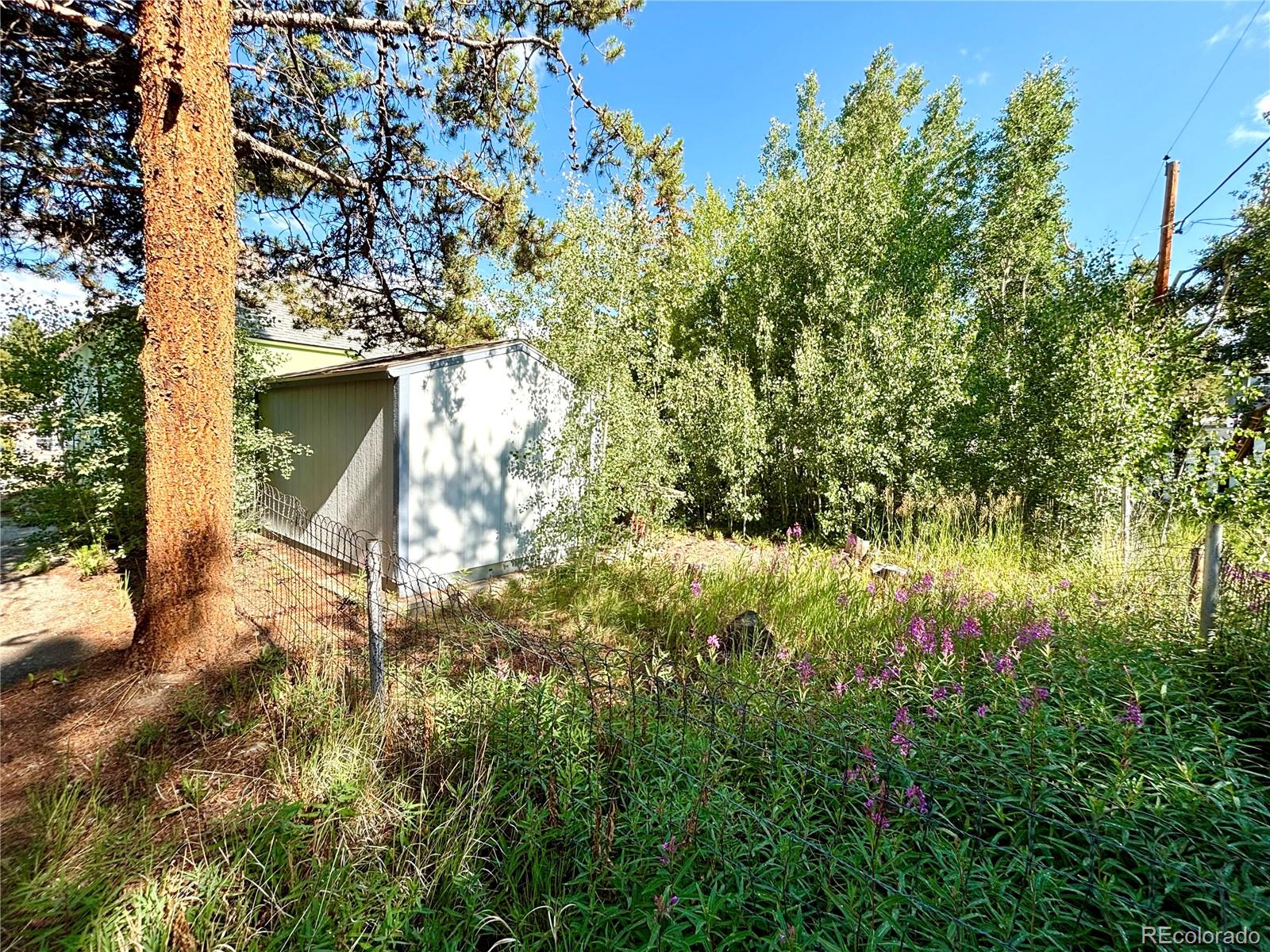 MLS Image #13 for 1705  mount lincoln drive,leadville, Colorado