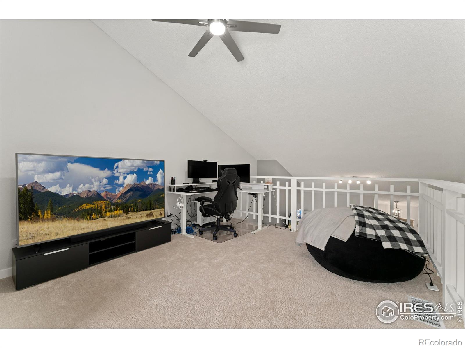 MLS Image #14 for 1160 s monaco parkway,denver, Colorado