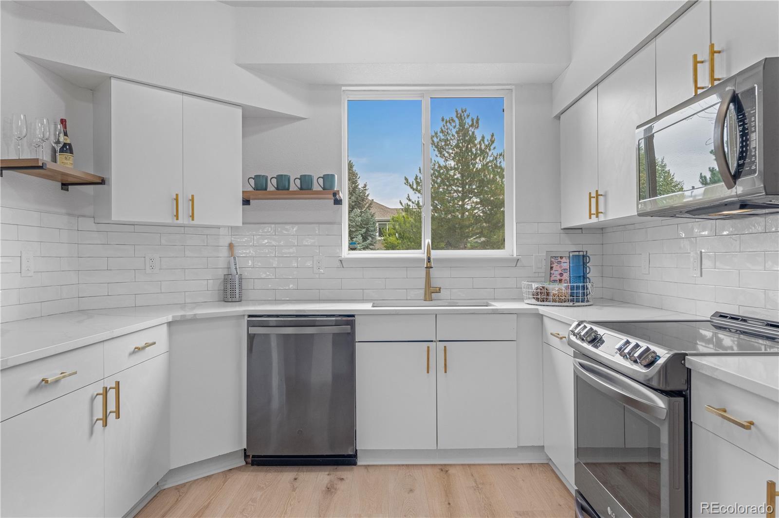 MLS Image #11 for 6484  silver mesa drive a,highlands ranch, Colorado