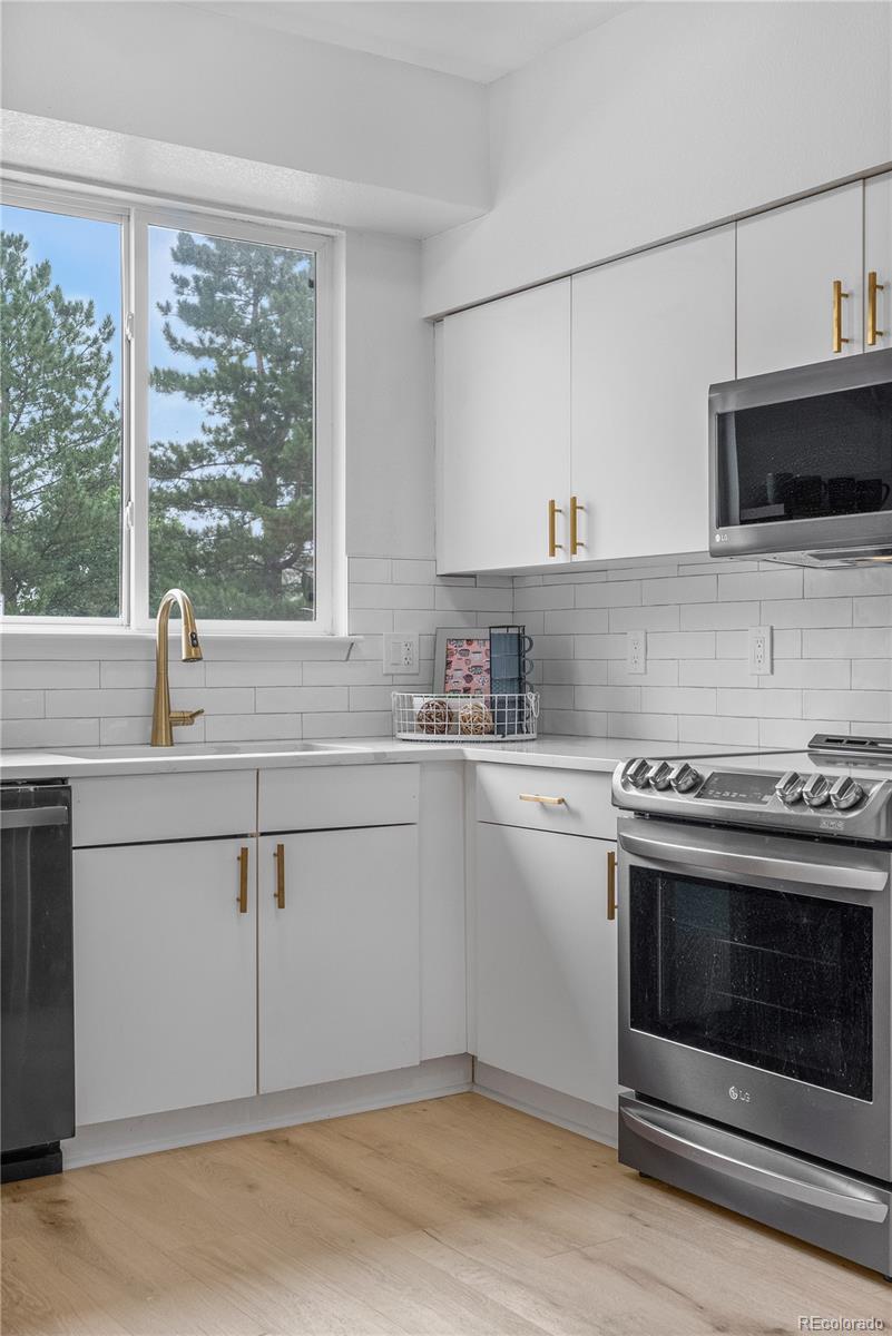 MLS Image #13 for 6484  silver mesa drive a,highlands ranch, Colorado