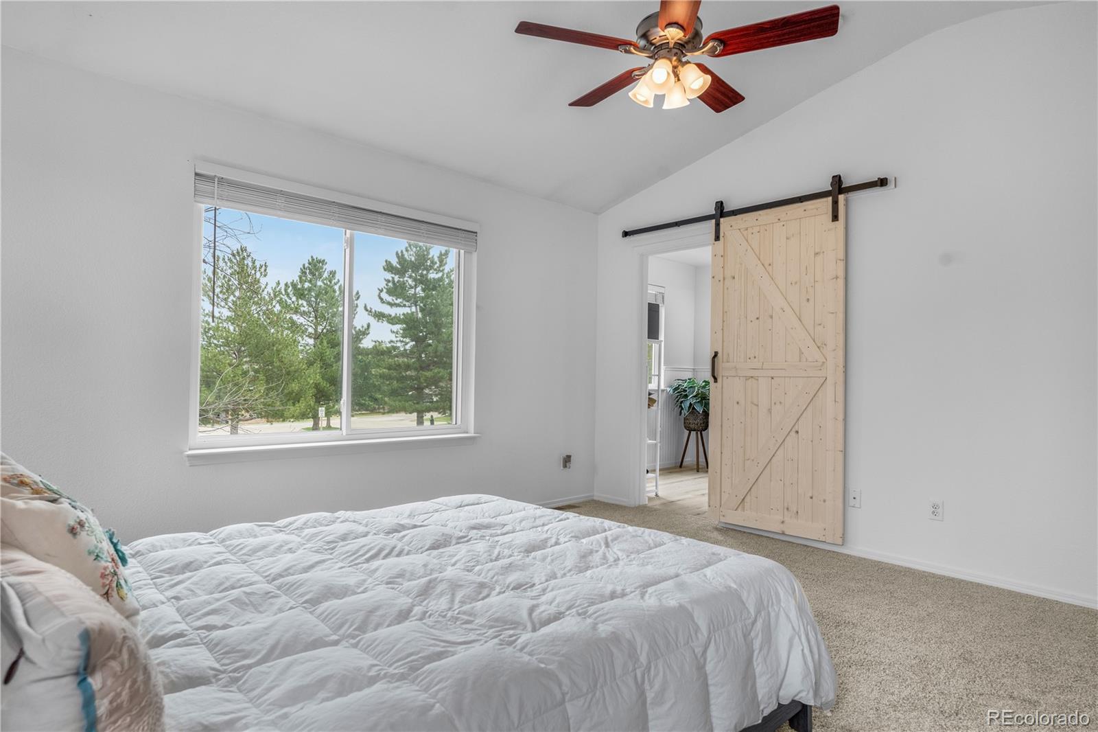 MLS Image #22 for 6484  silver mesa drive a,highlands ranch, Colorado