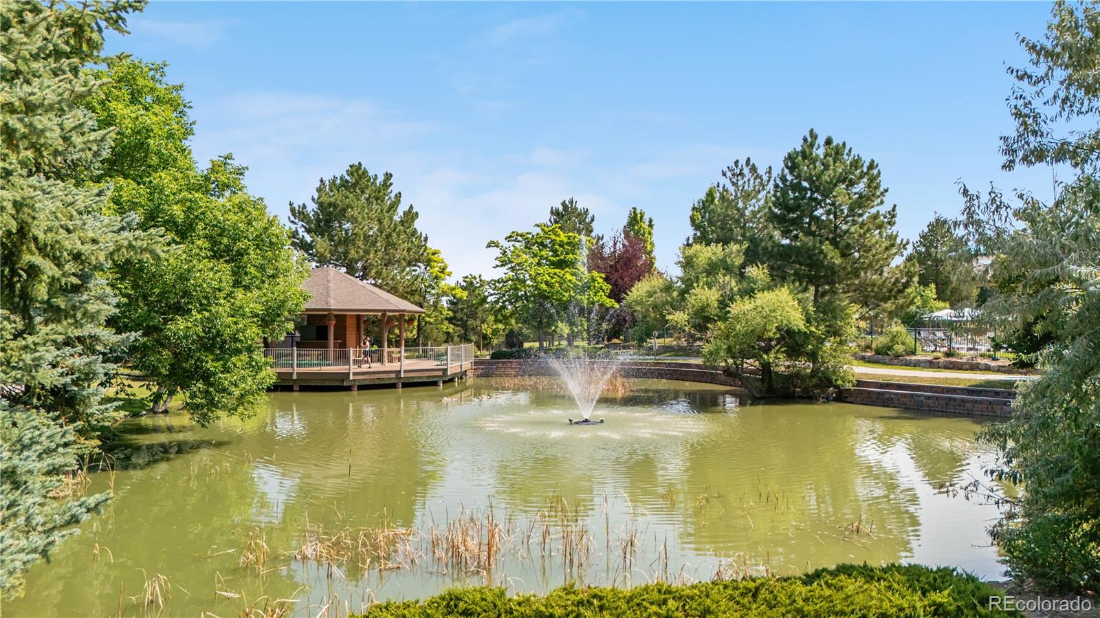 MLS Image #41 for 6484  silver mesa drive a,highlands ranch, Colorado