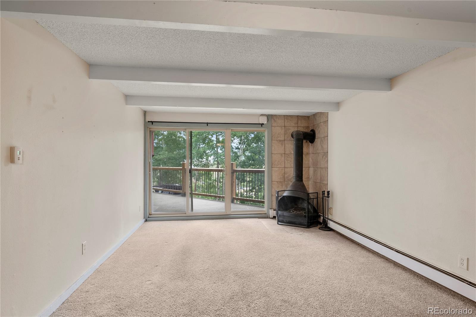 MLS Image #2 for 2402  ryan gulch court,silverthorne, Colorado