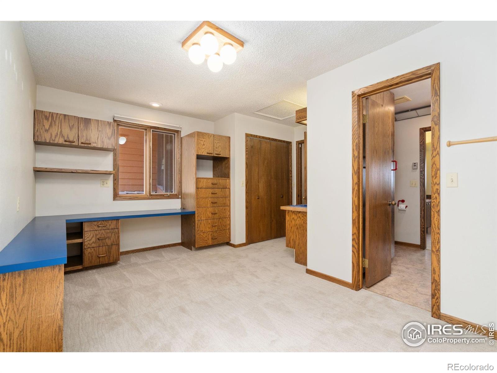 MLS Image #33 for 3705  el caminito court,loveland, Colorado