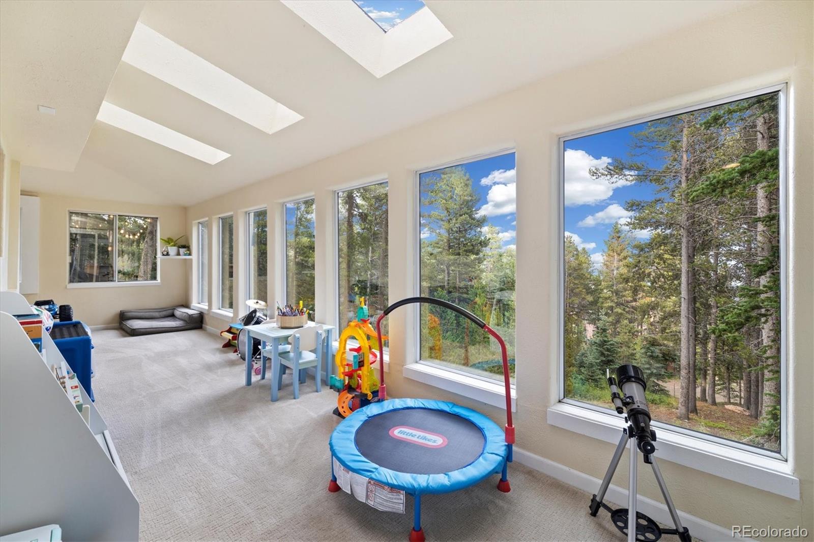 MLS Image #10 for 200  sawmill lane,idaho springs, Colorado