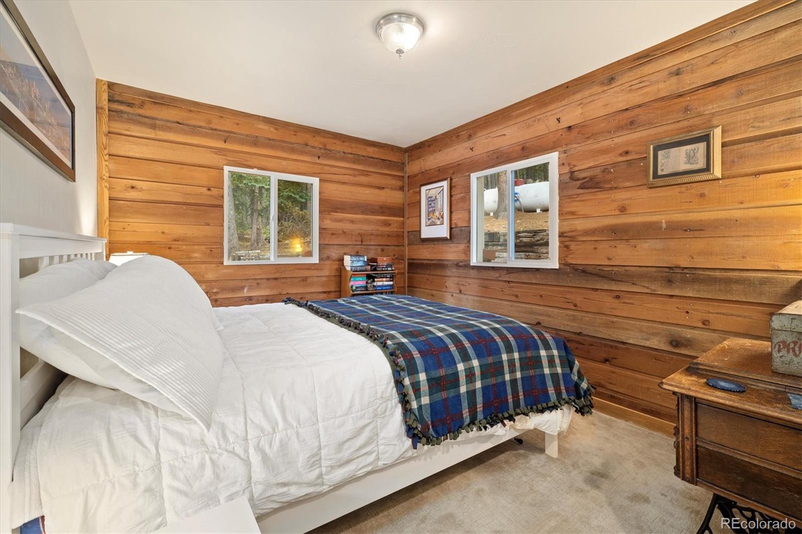 MLS Image #14 for 200  sawmill lane,idaho springs, Colorado