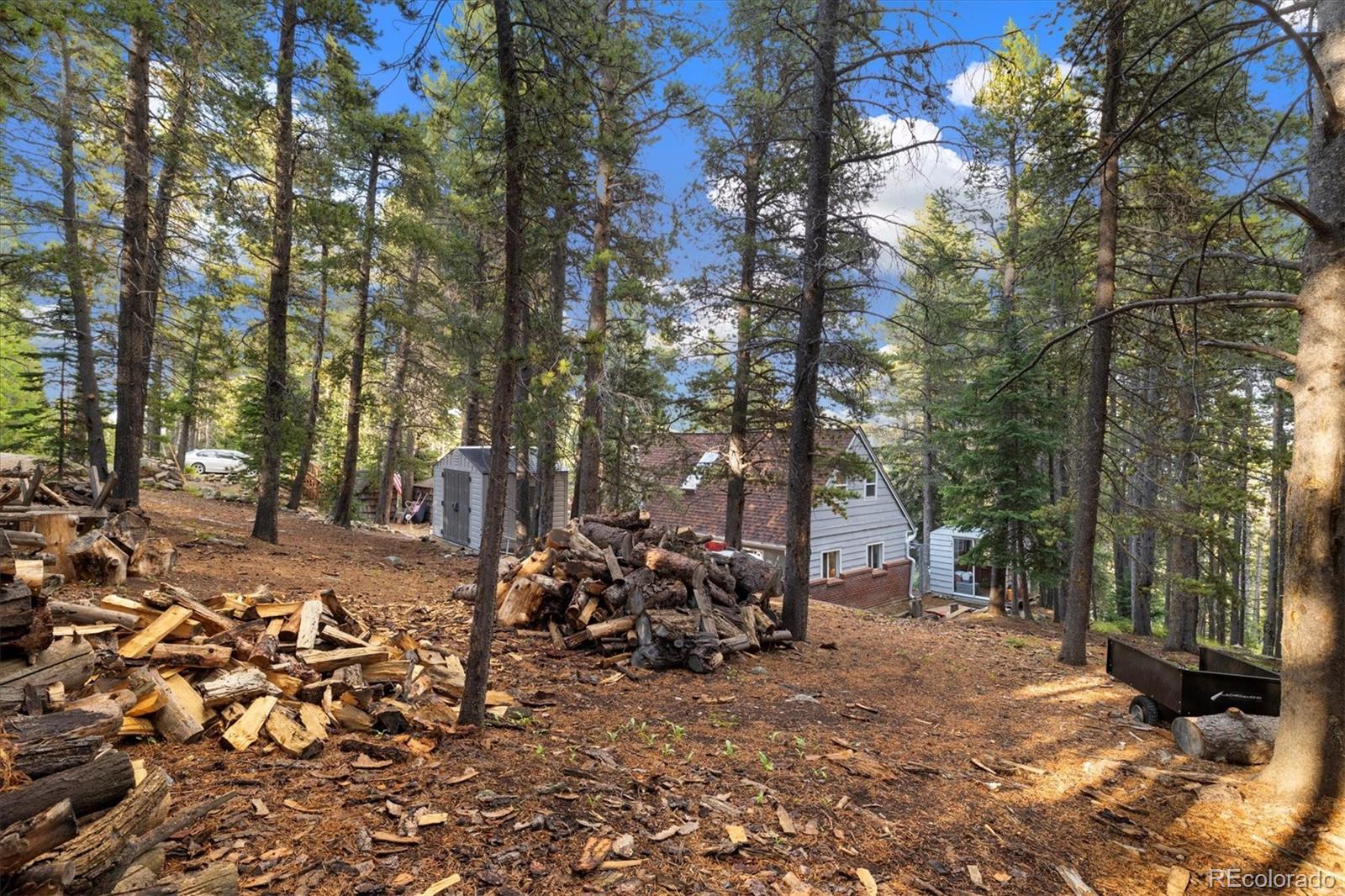 MLS Image #19 for 200  sawmill lane,idaho springs, Colorado