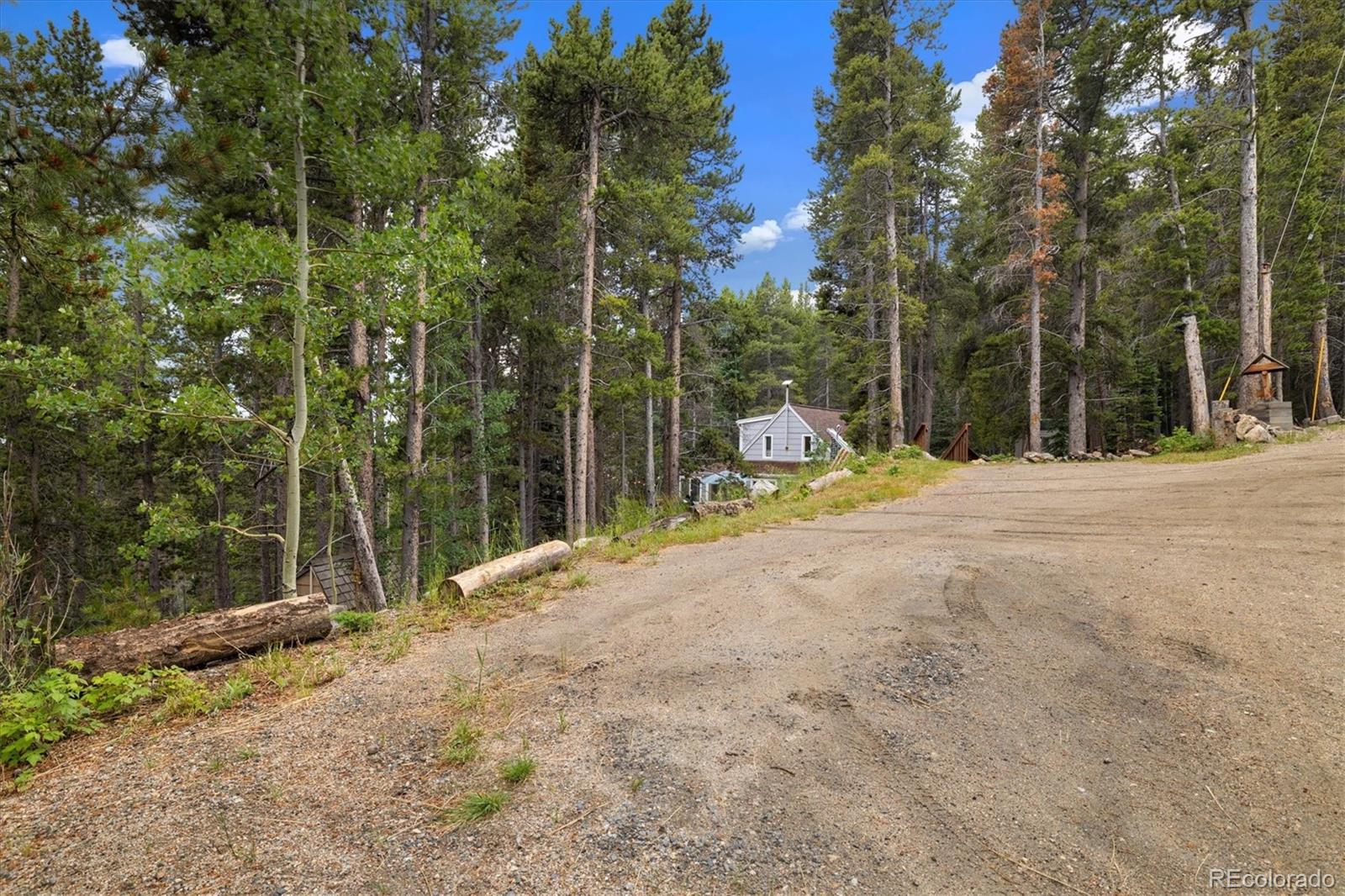 MLS Image #21 for 200  sawmill lane,idaho springs, Colorado