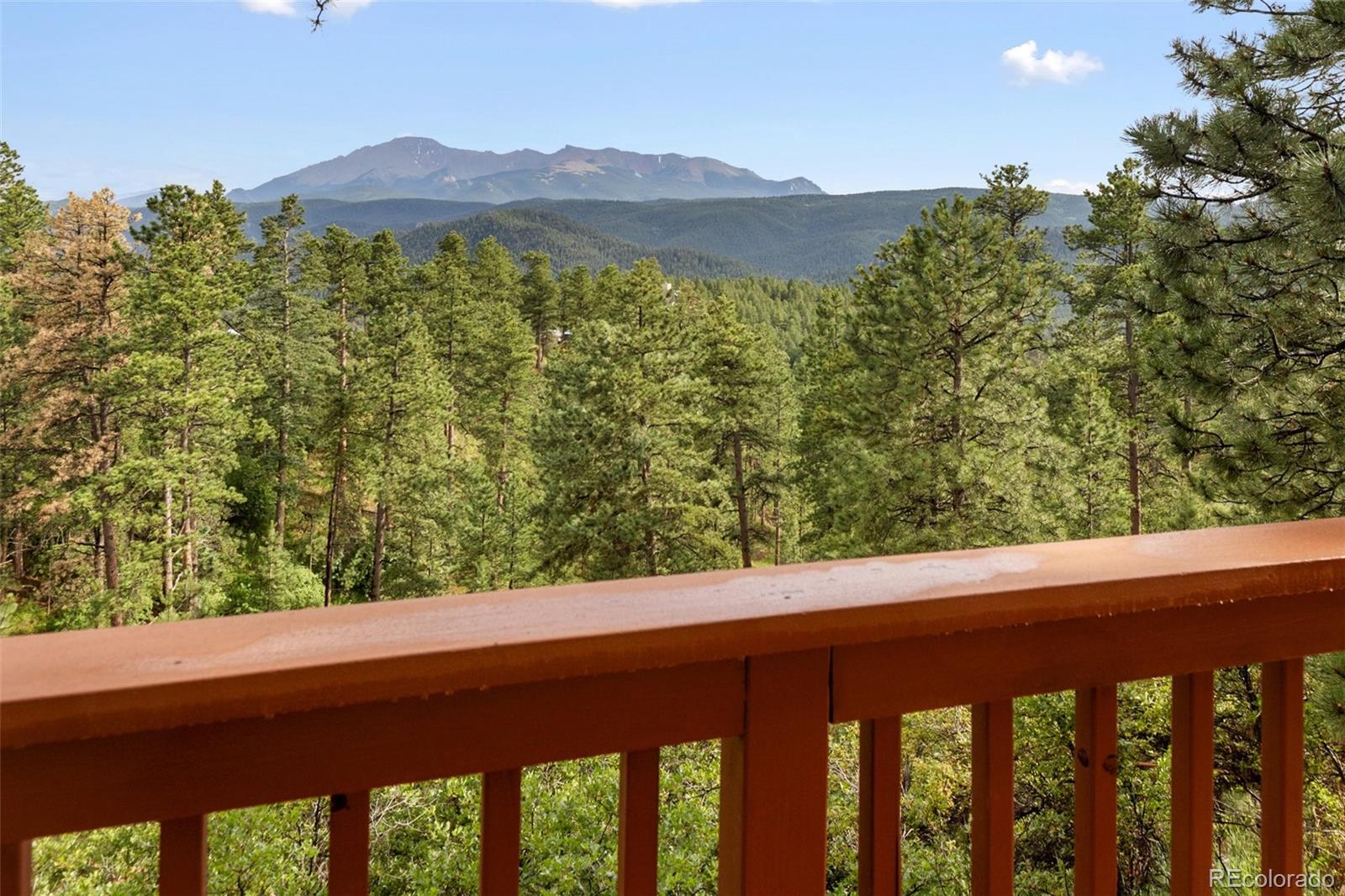 MLS Image #10 for 1130  kings crown road,woodland park, Colorado